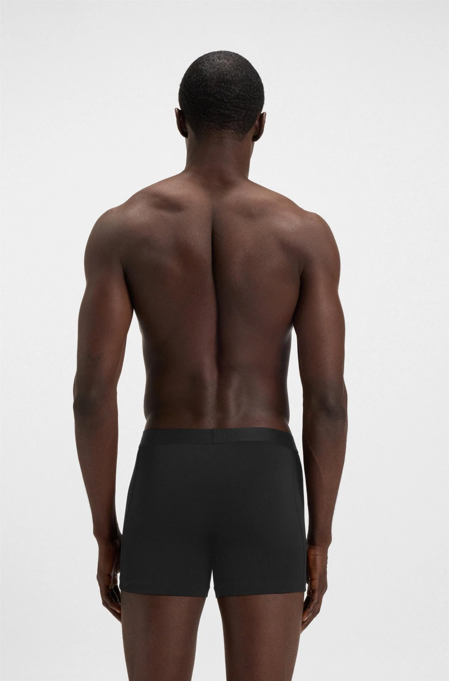 BoxerBr 3P - Image 3