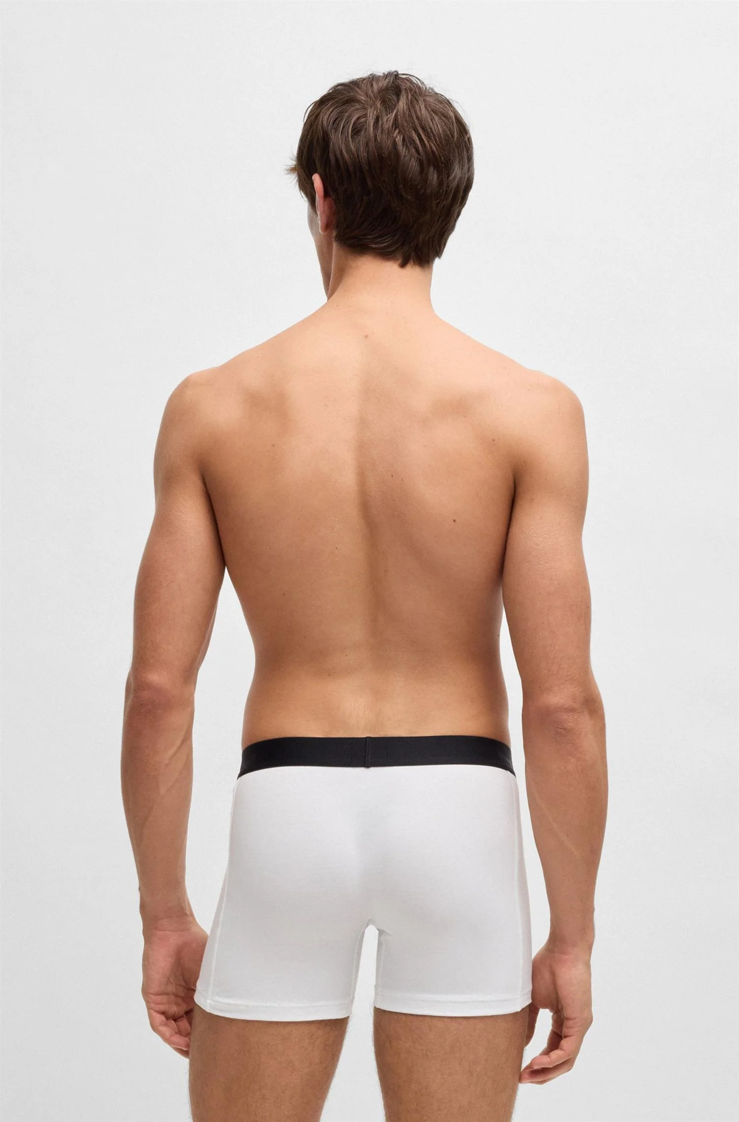 BoxerBr 3P - Image 3