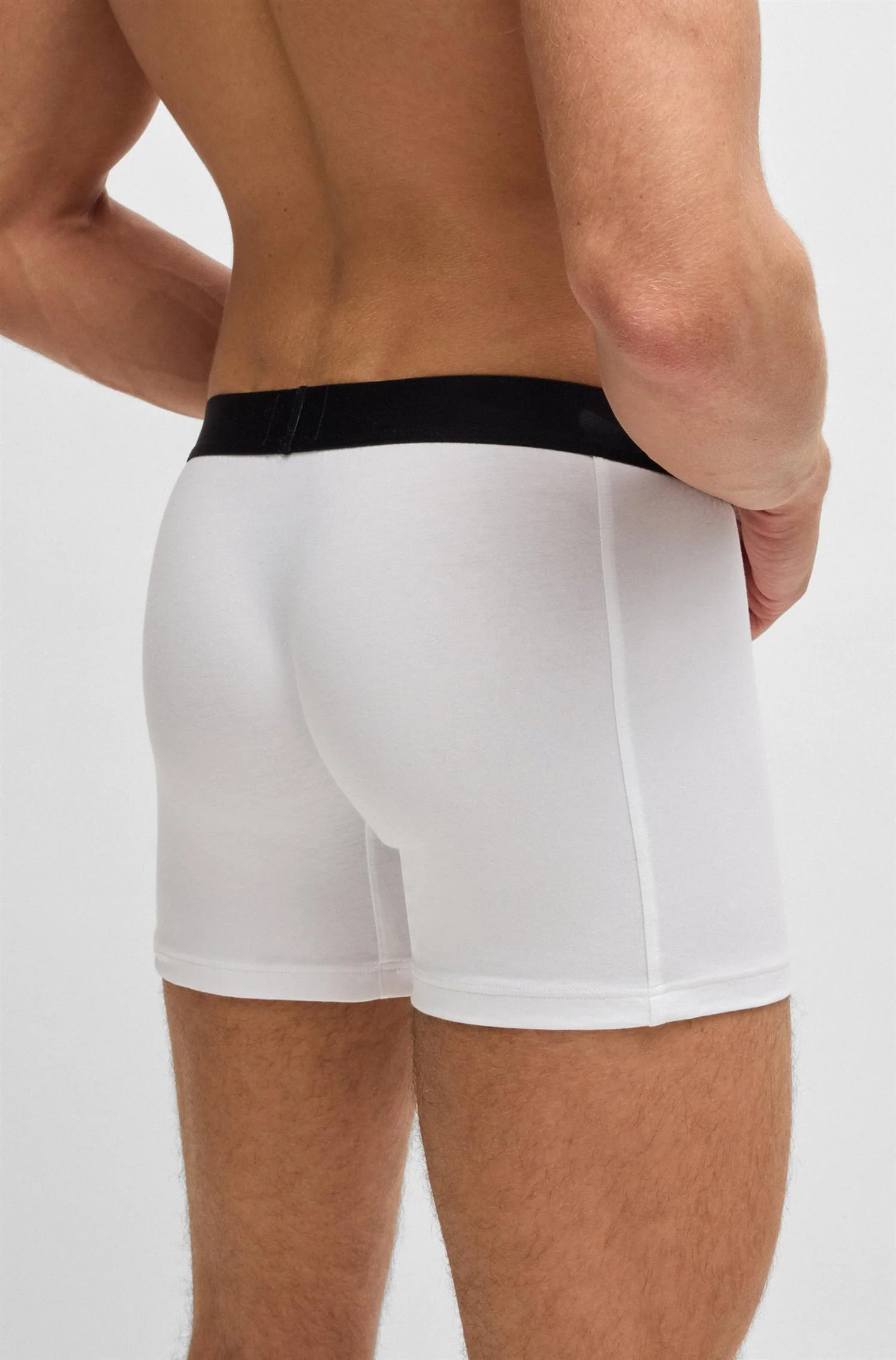 BoxerBr 3P - Image 5