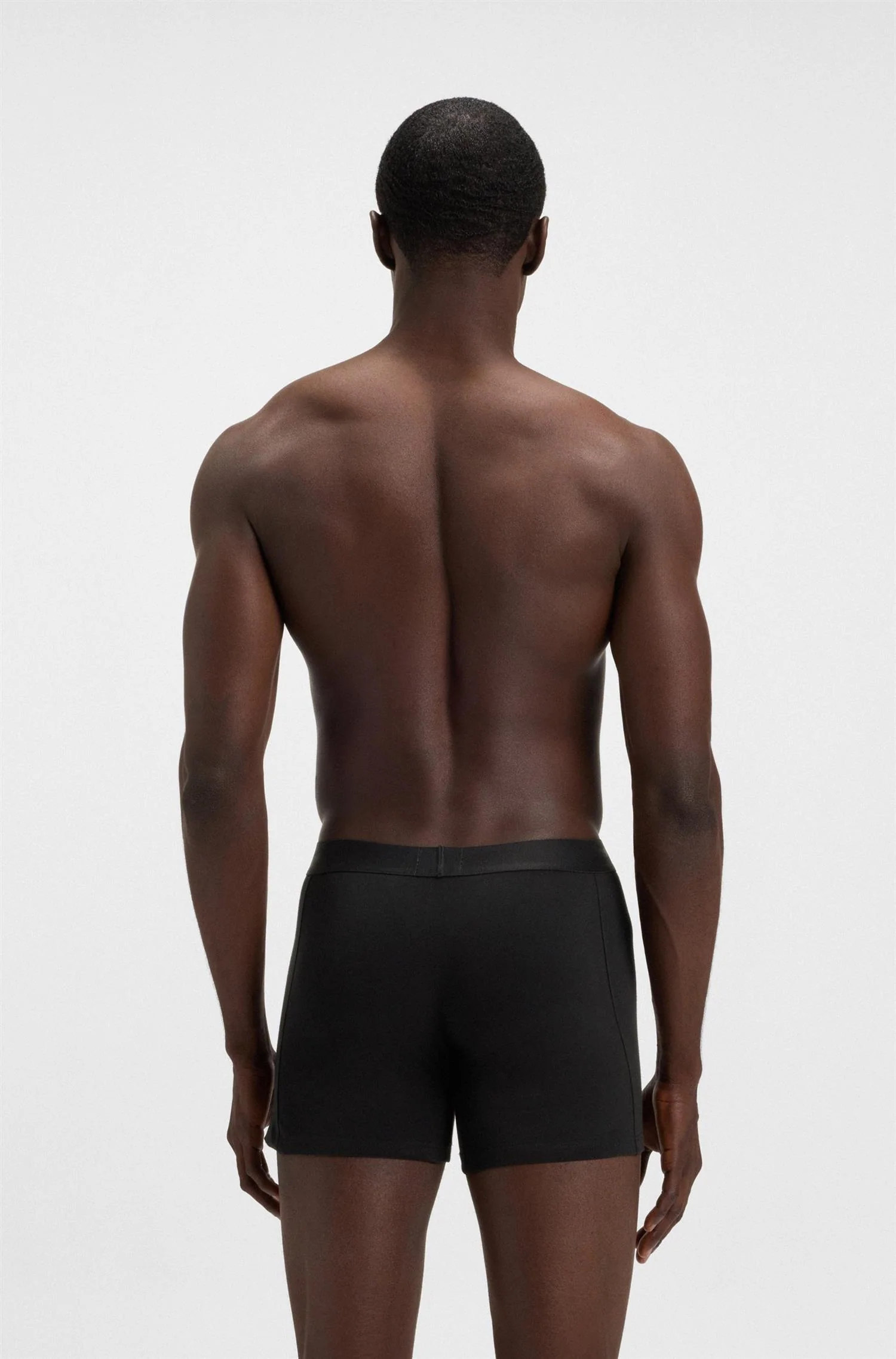 BoxerBr 3P - Image 3