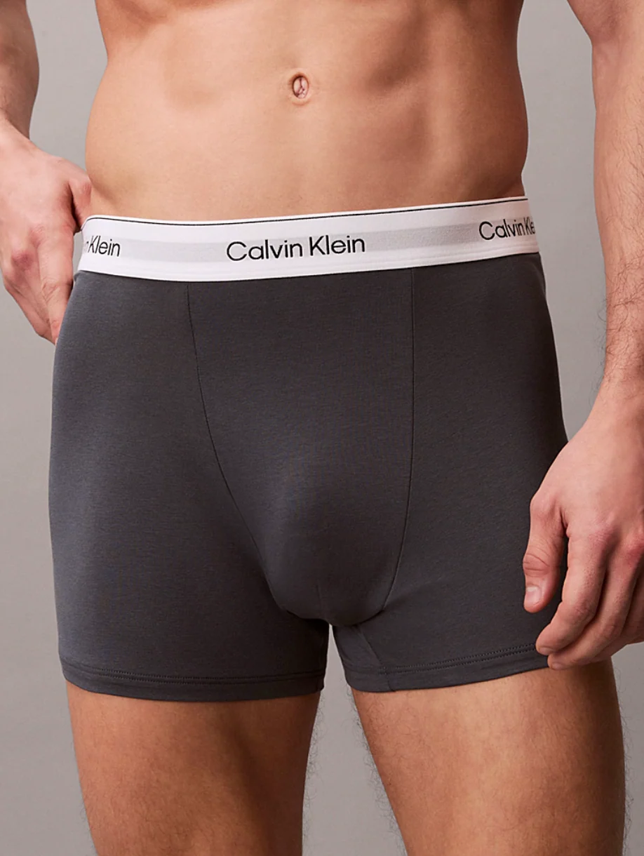 Relaxed Fit Trunk 3PK - Image 4