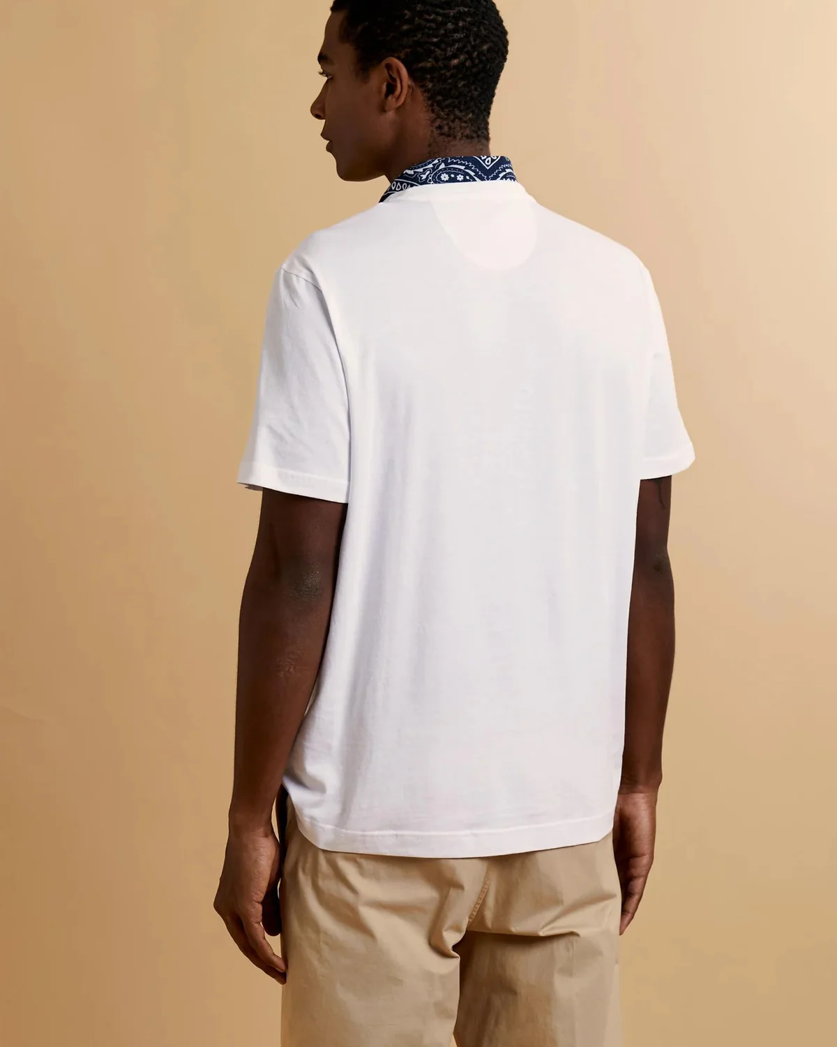 Serge - Image 3