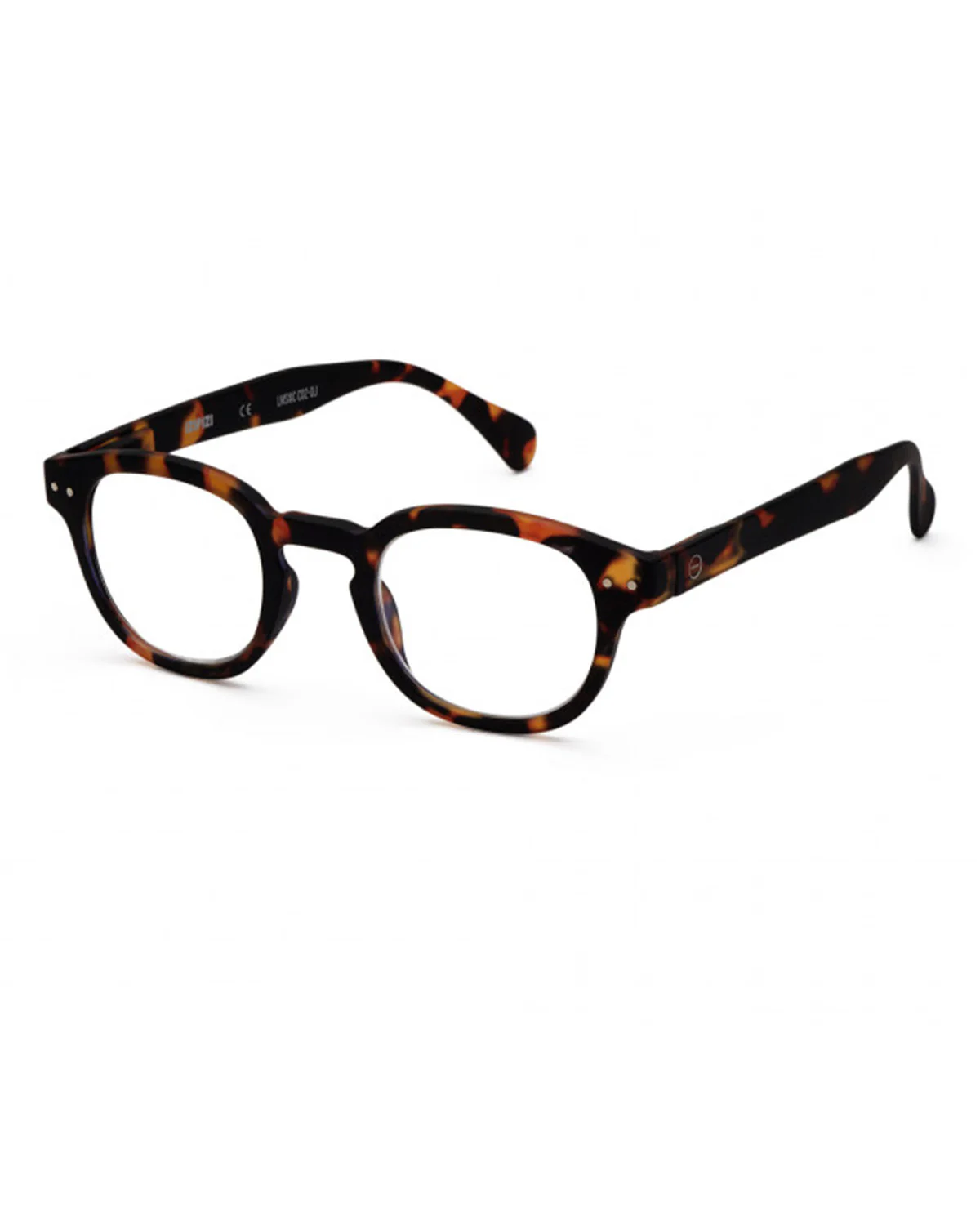 C Reading Tortoise - Image 3