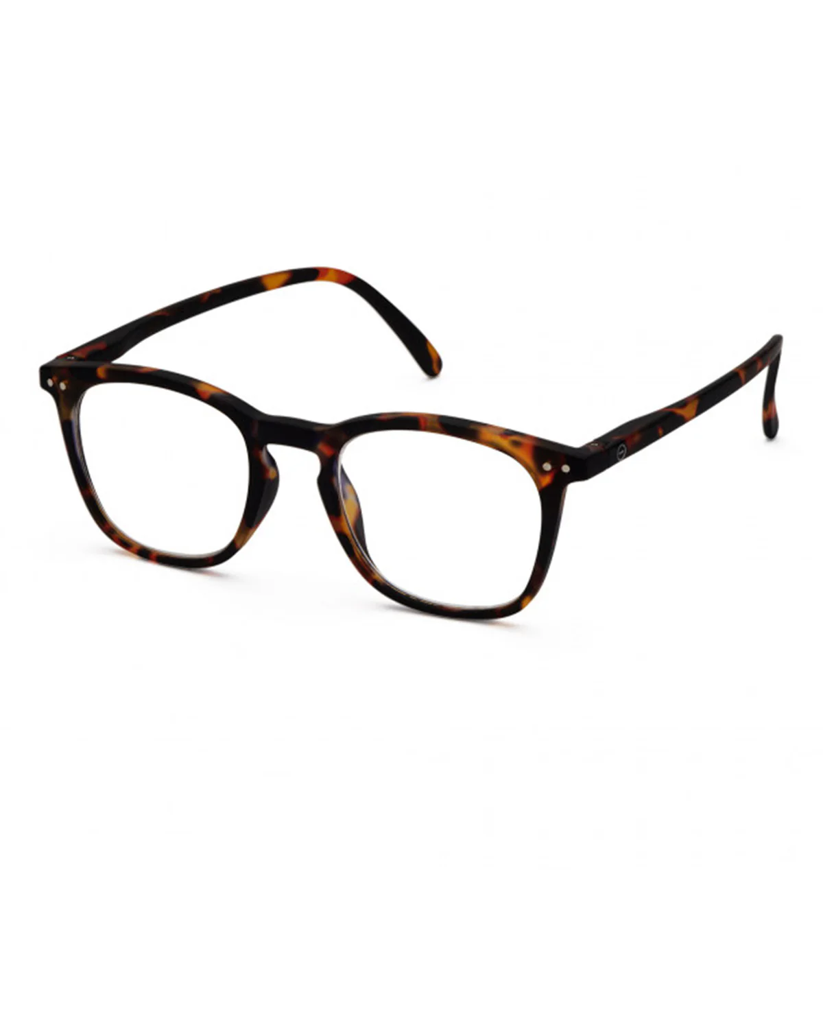 #E Reading Tortoise - Image 3